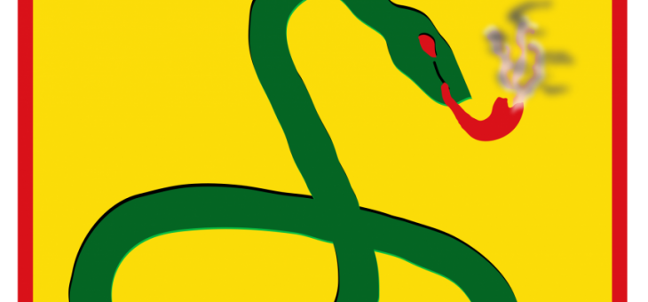 Smoking Snake of Brazil – Resenha do livro A Campanha da FEB.
